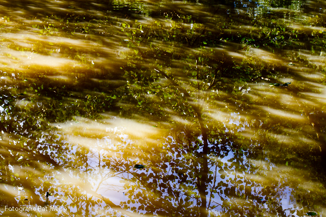 #06_Waldsee