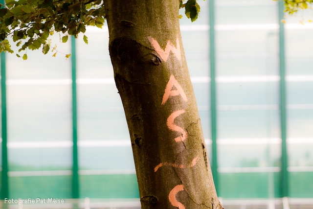 #08_Was?